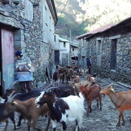 Casa Bernaldo Daire Covas do Monte Dış mekan fotoğraf