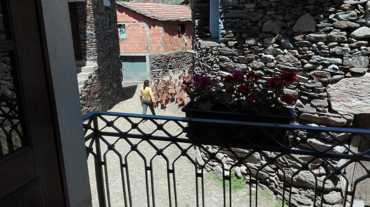 Casa Bernaldo Daire Covas do Monte Dış mekan fotoğraf