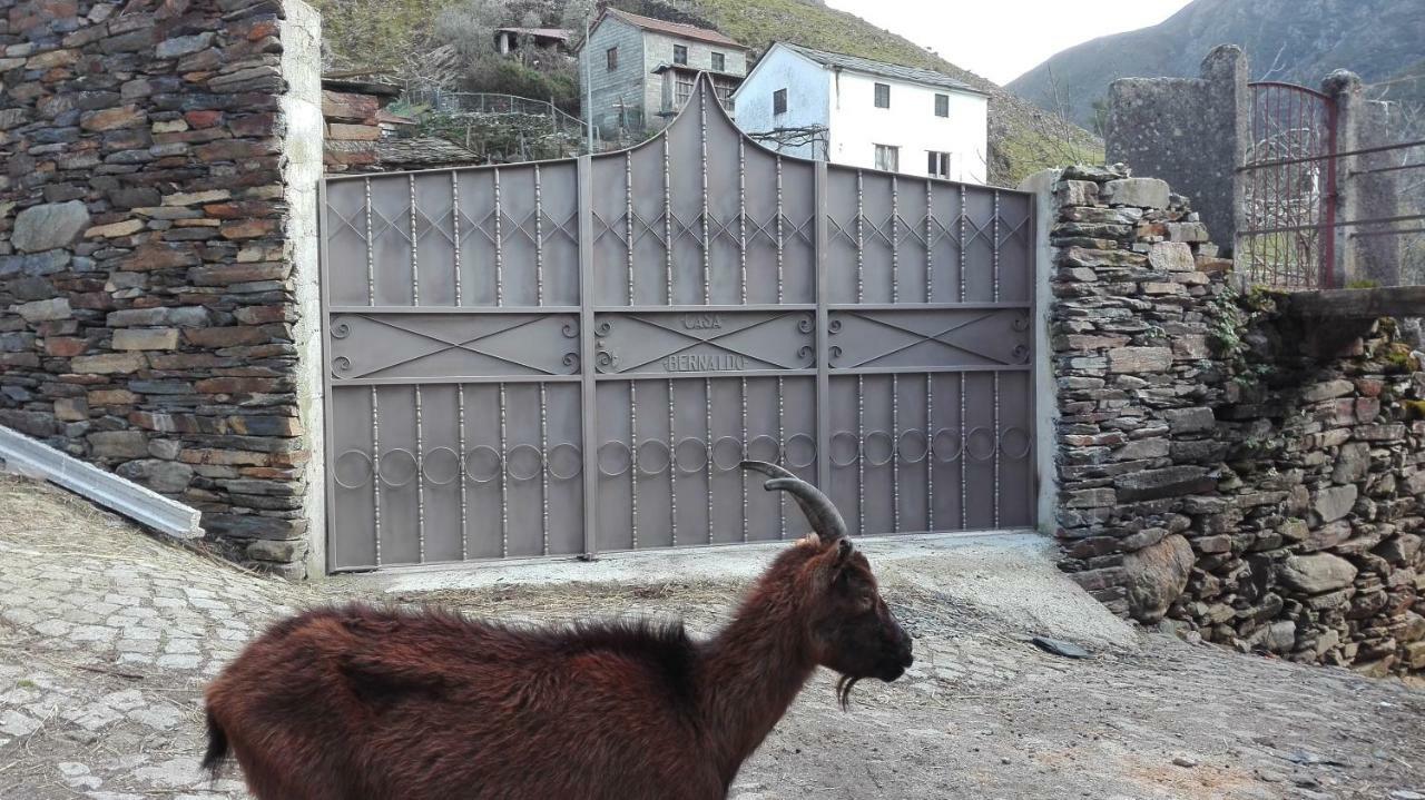 Casa Bernaldo Daire Covas do Monte Dış mekan fotoğraf
