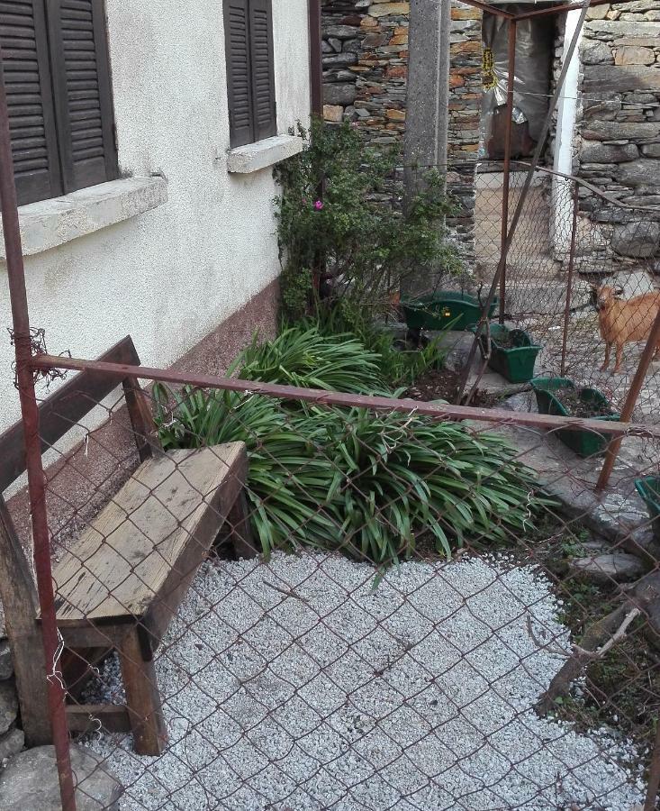 Casa Bernaldo Daire Covas do Monte Dış mekan fotoğraf